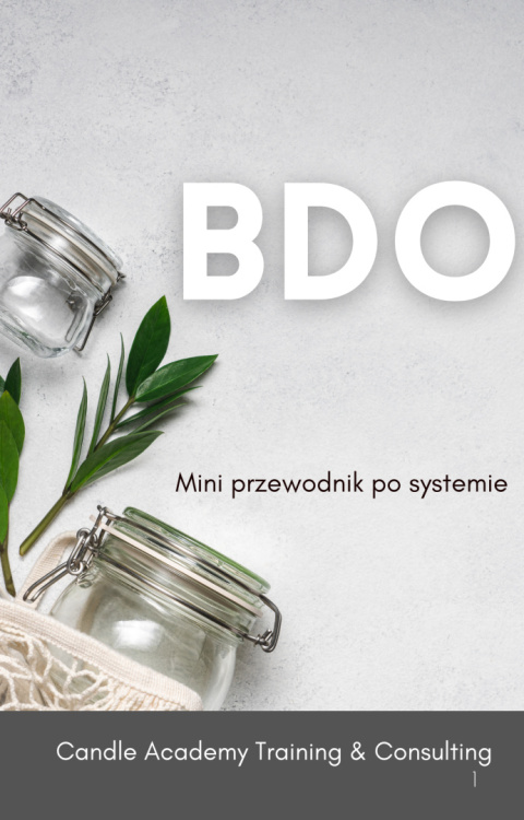 BDO Mini przewodnik po systemie