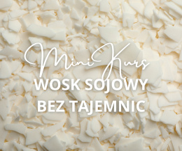 Mini Kurs Wosk sojowy bez tajemnic PDF