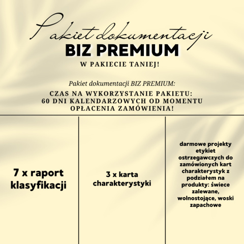 Pakiet dokumentacji BIZ PREMIUM