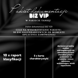 Pakiet dokumentacji BIZ VIP